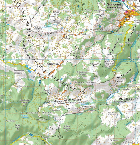 detail Muntii Padurea Craiului 1:50t turistická mapa DIMAP