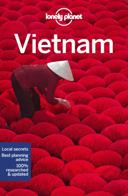 Vietnam průvodce 14th 2018 Lonely Planet
