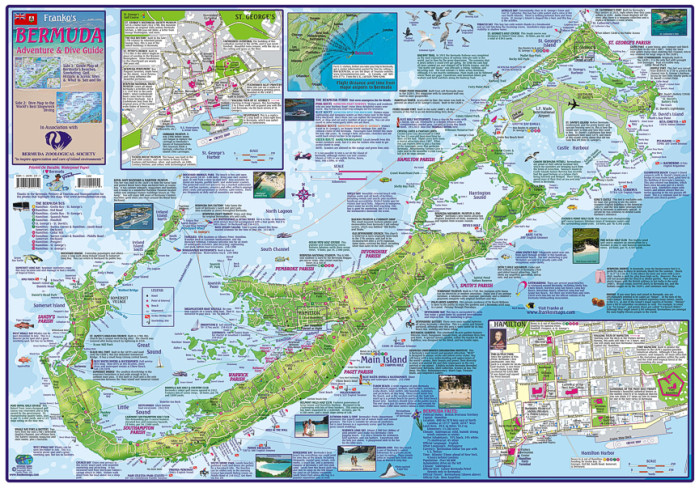 detail Bermuda 1:38t guide & dive mapa FRANKO´S