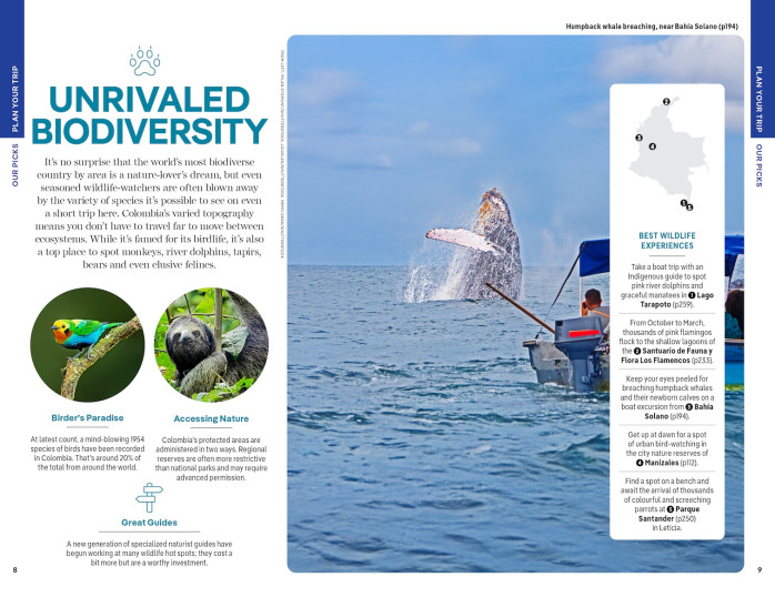 detail Kolumbie (Colombia) průvodce 11th 2025 Lonely Planet
