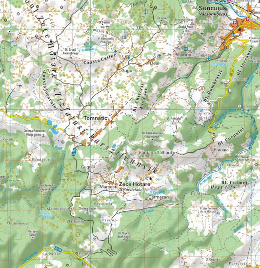 detail Muntii Padurea Craiului 1:50t turistická mapa DIMAP