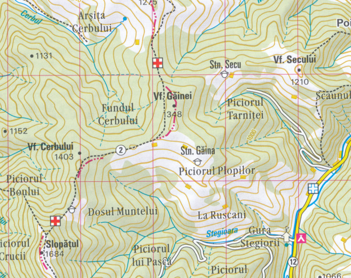 detail Munti Bistritei 1:70t mapa DIMAP