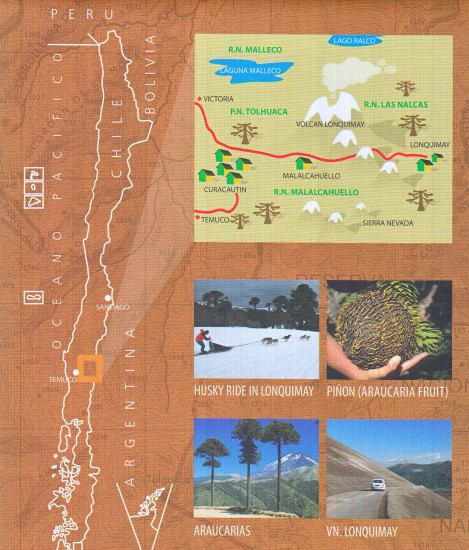 detail Chile - Lonquimay 1:100t turistická mapa COMPASS