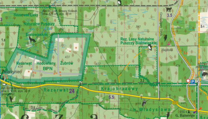 detail Bělověžský prales 1:50t mapa lamino