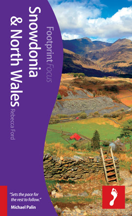 detail Snowdonia & North Wales 1 focus