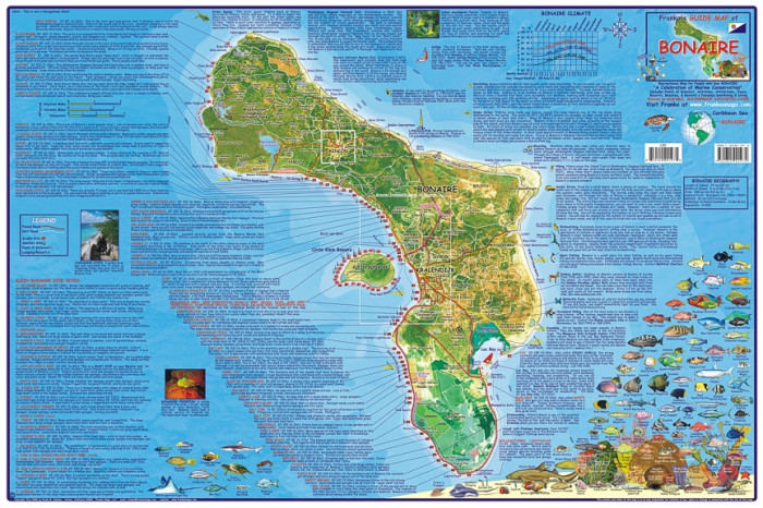 detail Bonaire 1:85t guide & dive mapa FRANKO´S