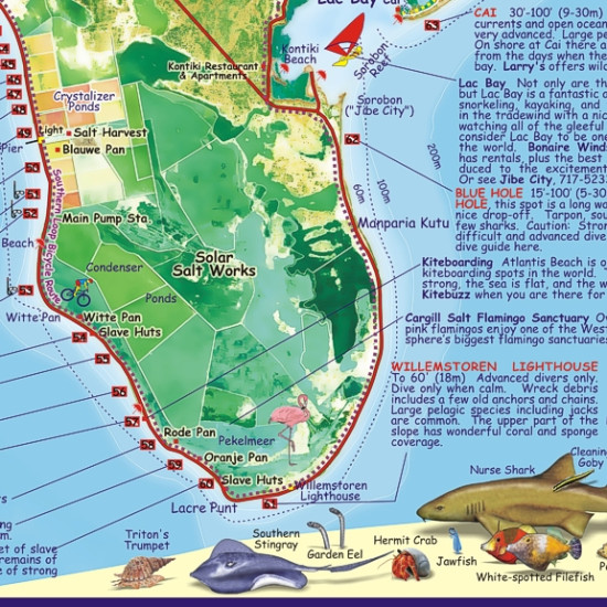 detail Bonaire 1:85t guide & dive mapa FRANKO´S