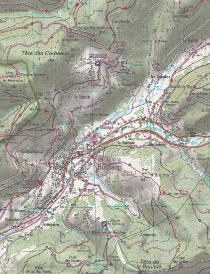 detail IGN 3619OT Bussang La Bresse 1:25t mapa IGN