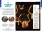 náhled Dánsko (Denmark) and Faroe Islands průvodce 10th 2025 Lonely Planet