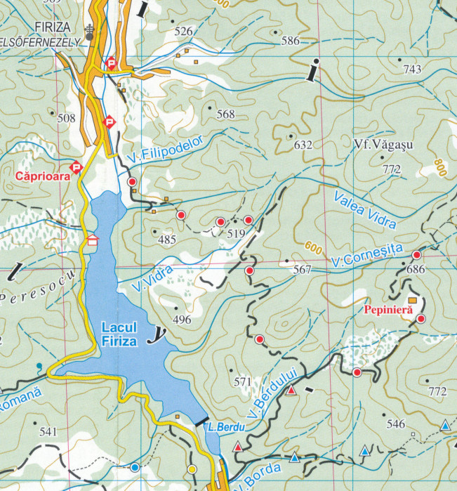 detail Muntii Ignis, Pietrii a Gutai 1:50t mapa DIMAP