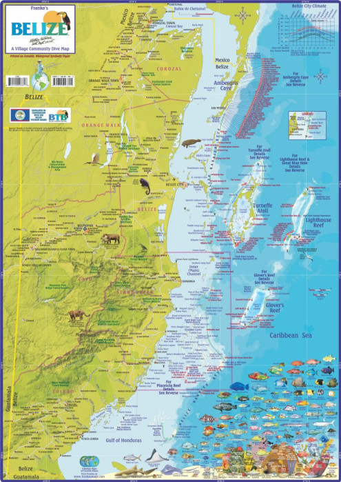 detail Belize 1:432t guide & dive mapa FRANKO´S