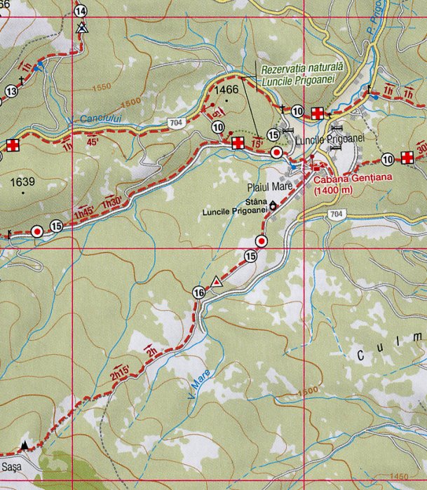 detail Sureanu 1:80.000 turistická mapa MUNTI