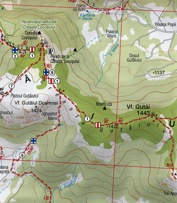 detail Gutaiului 1:25.000 mapa MUNTI