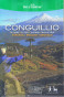náhled Chile - Conguillio 1:100t turistická mapa COMPASS
