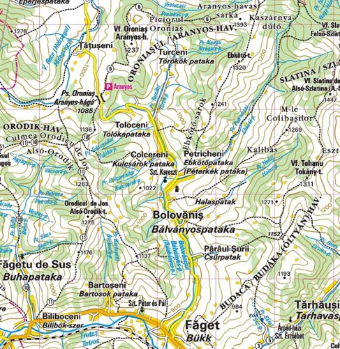 detail Muntii Tarcaului 1:60t turistická mapa DIMAP