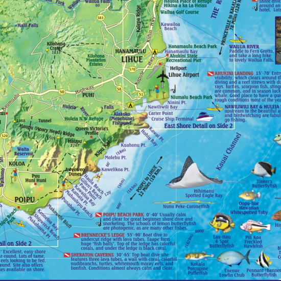 detail Kauai 1:160t Dive mapa FRANKO´S
