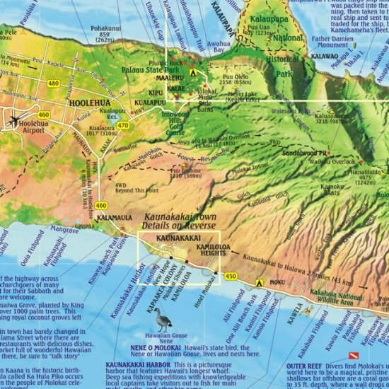 detail Molokai 1:118t Guide mapa FRANKO´S