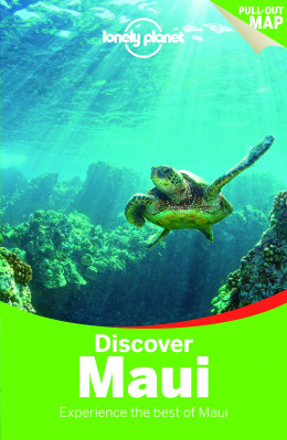 Discover Maui průvodce 2nd 2014 Lonely Planet
