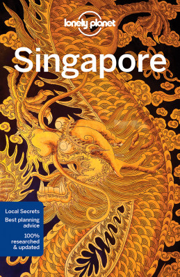 Singapur (Singapore) průvodce 11th 2018 Lonely Planet