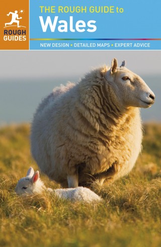 detail Wales průvodce 2012 Rough Guide