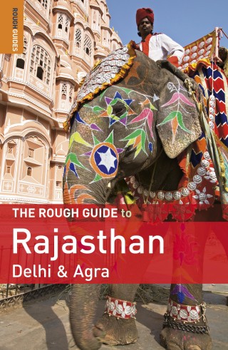 detail Rajasthan, Delhi průvodce 2010 Rough Guide