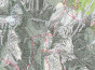náhled Dolomiti di Auronzo, del Comelico 1:25 000 turistická mapa TABACCO #017